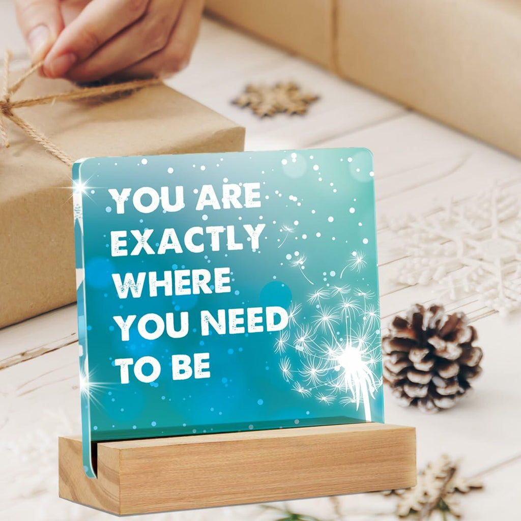 GTGIC Inspirational Desk Sign Motivational Acrylic Office Decor 4x4 Inches